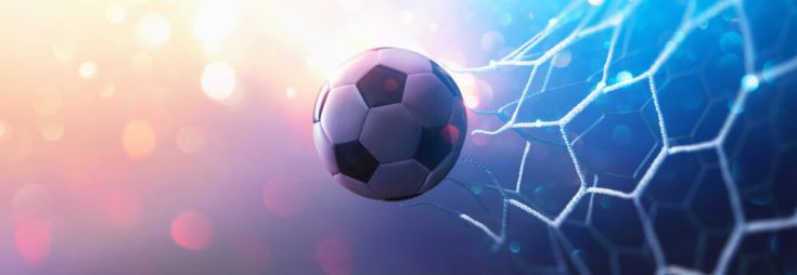Équipe Mini Soccer de l'école de la Forêt