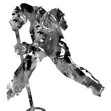 Ringuette ecole de l'Aigle