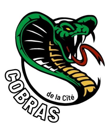 Inscription aux sports d'automne/hiver des Cobras