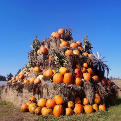 Sortie  à la ferme Éco des champs