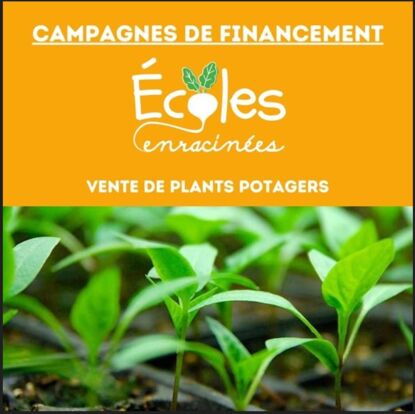 Vente de plants potagers- Campagne de financement