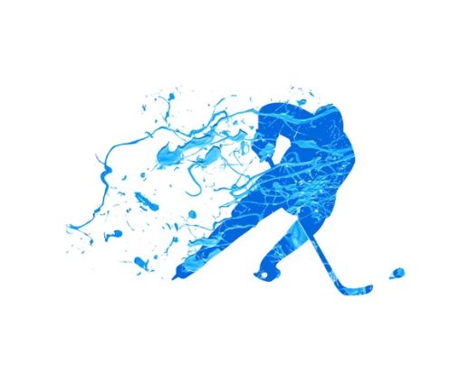Sortie scolaire afin d'assister à un match de Hockey des Sénateurs d'Ottawa (Centre Canadian Tire)